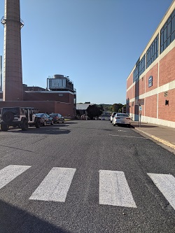 variety principle of photography